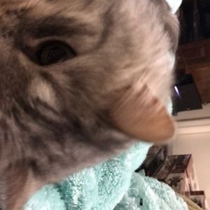 Meet your Posher, Katherine